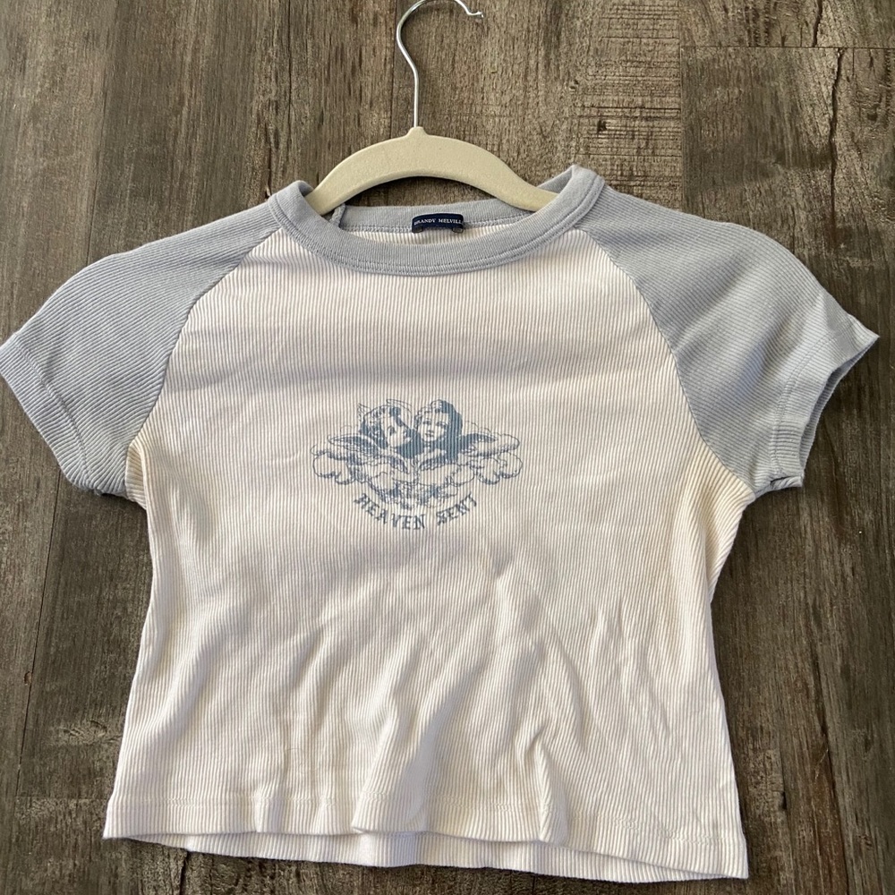 Brandy Melville Angel Crop Top